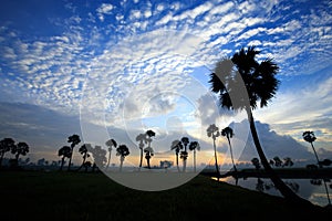 Colorful sunrise landscape with silhouettes of palm trees.