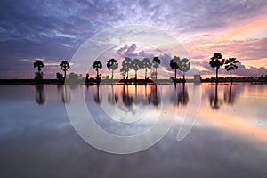 Colorful sunrise landscape with silhouettes of palm trees on Chau Doc city, Vietnam. Chaudoc city near Cambodia is famous