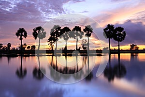 Colorful sunrise landscape with silhouettes of palm trees.