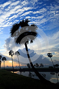 Colorful sunrise landscape with silhouettes of palm trees.