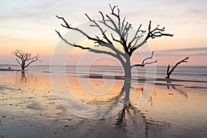 Colorful sunrise and live oaks reflected on the beach at Botany Bay on Edisto Island near Charleston, SC.