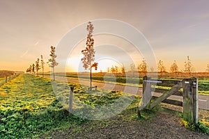 Colorful sunrise with low sun during autumn in Bentwoud South Holland, the Netherlands