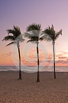 Colorful sunrise in Miami Beach Florida