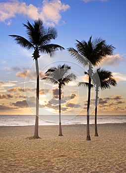 Colorful sunrise in Miami Beach Florida