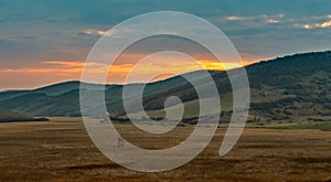 Sunrise over dried up swamp photo