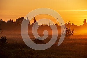 colorful sunrise sunset in misty summer meadow