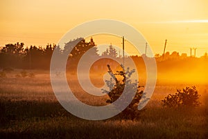 colorful sunrise sunset in misty summer meadow