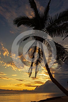 Colorful sunrise on the Tambua Sands Beach on Fiji Island, Fiji