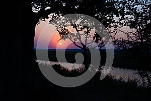 Colorful sunset in the african bush. Acacia trees silhouette in backlight. Cold toned, blue purple clear sky.