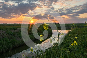 Colorful sunset along a creek in Holland with rapeseed in the foreground