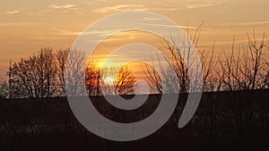 Sunset behinde Trees