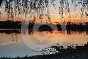 Colorful sunset in CHKO Poodri in Czech republic with pond, trees and willow branches photo