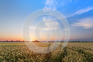 Colorful sunset fields Ukraine