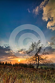 Colorful sunset on a high heath