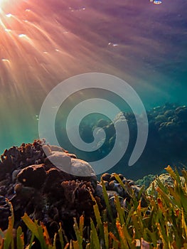 Colorful sunset on the shallow coral reef in the Carribbean Sea, Roatan, Honduras