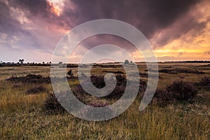 Colorful sunset at moorland landscape