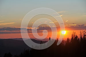 Sunset over Trees Cedar Breaks Utah