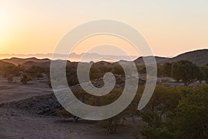 Colorful sunset over the Namib desert, Namibia, Africa. Mountains, dunes and Acacia trees silhouette in backlight. Orange red clea