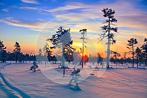 Colorful Sunset Over Rovaniemi  Finland