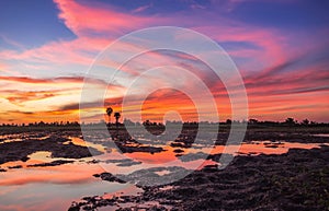 Colorful sunset over the twilight cloud and sky background, colo