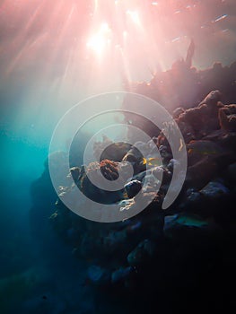 Colorful sunset on the shallow coral reef in the Carribbean Sea, Roatan, Honduras