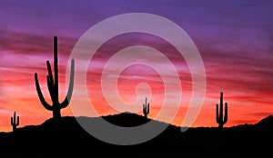 Colorful Sunset in the southwest Desert of Arizona