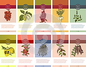 Colorful superfood banners