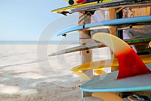 Colorful surf boards in shop for rent on the beach. water sports equipment