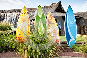 Colorful surfboards.
