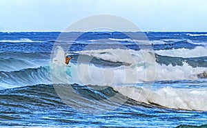 Colorful Surfer Pipeline Waves North Shore Oahu Hawaii