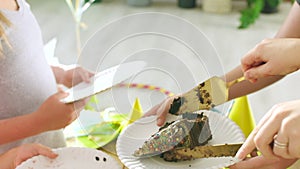 Colorful, sweet and festive chocolate cake at a kids party cut into slices during a vibrant summer holiday. Celebrating