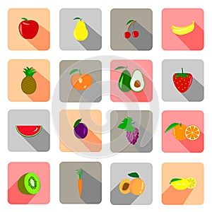 Colorful sweet fruit pack vector illustration art