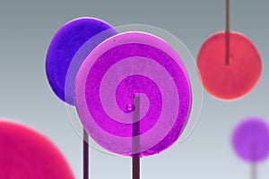 Colorful Sweet Lollipops of Pink, Violet and Red Colors. Round Candies on Stick. Trick or Treat.