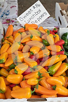 Colorful sweet peppers in a cardboard display crate