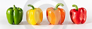 Colorful sweet peppers on a white background. Banner. Set with green, yellow, orange and red bell peppers. Pepper closeup