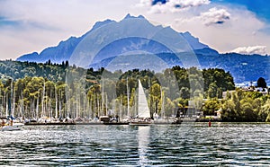 Swimmer Motorboat Sailboats Harbor Mountains Lake Lucerne Switzerland