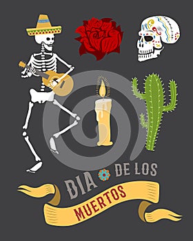 Colorful symbols for dia de los muertos day of the dead vector.