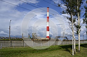 Colorful tall pipes, gas pipelines, tanks, ladders and other equipment for oil refining, next to birch trees