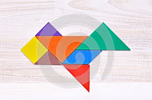 Colorful tangram puzzle in plane shape