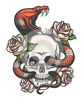 Skull with Snake and roses