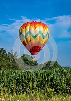 Colorful Teardrop Shaped Hot Air Balloon Over Corn Field on Sunny Day with Trees and Cloudy Blue Sky