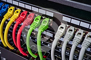 Colorful Telecommunication Colorful Ethernet Cables Connected to the Switch in Internet Data Center photo