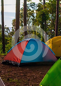 Colorful tent in pine tree forest on the mountain.