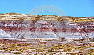 Colorful The Tepees Painted Desert Petrified Forest National Park Arizona