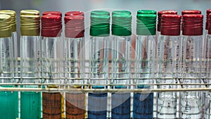 Colorful Test Tubes In Science Laboratory