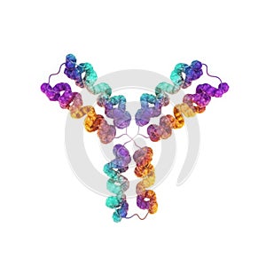 Immune protein molecule isolated on transparent background isolated on transparent background