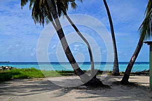 Colorful Thulusdhoo island, Maldives