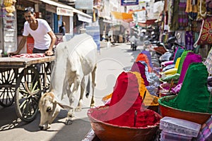 Colorful tika powders on indian market, India , Asia