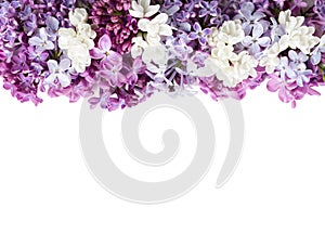 Colorful tiny flowers of Lilac isolated on white background. Floral border. Flat lay