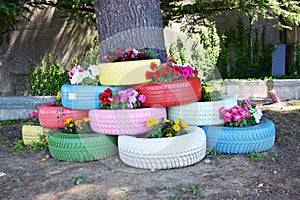 Colorful tires and flowers